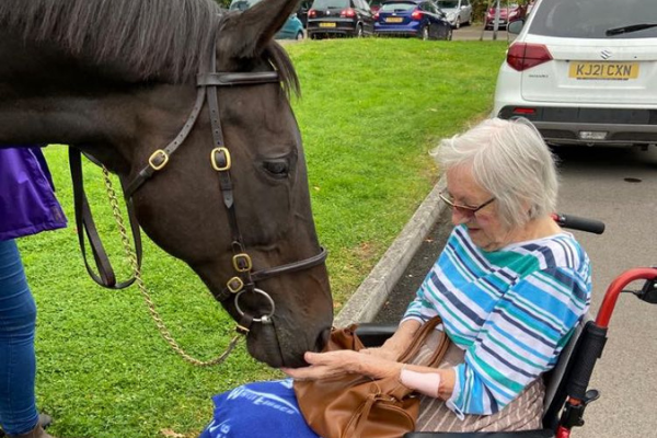 Pilot programme announced to introduce former racehorses to care home residents Image Pilot programme announced to introduce former racehorses to care home residents Image